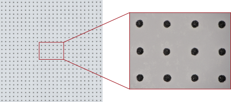 Solder paste
