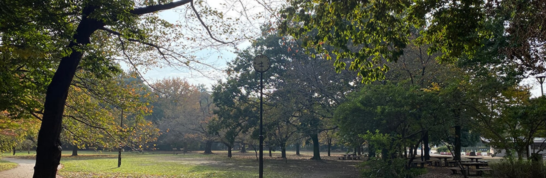 Inokashira Park