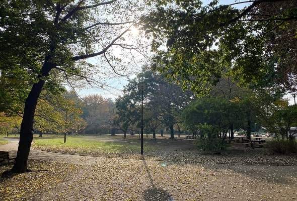 Inokashira Park